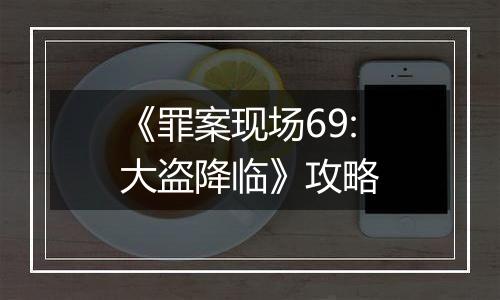 《罪案现场69:大盗降临》攻略