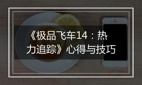 《极品飞车14：热力追踪》心得与技巧