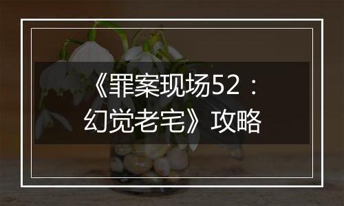 《罪案现场52：幻觉老宅》攻略