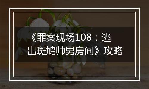 《罪案现场108：逃出斑鸠帅男房间》攻略