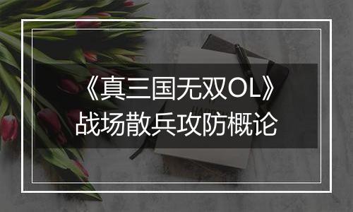 《真三国无双OL》战场散兵攻防概论