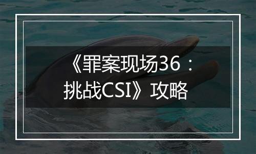 《罪案现场36：挑战CSI》攻略