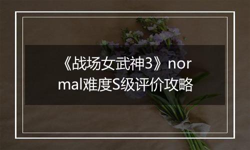 《战场女武神3》normal难度S级评价攻略