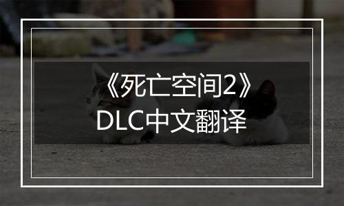 《死亡空间2》DLC中文翻译