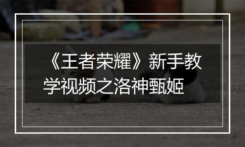 《王者荣耀》新手教学视频之洛神甄姬