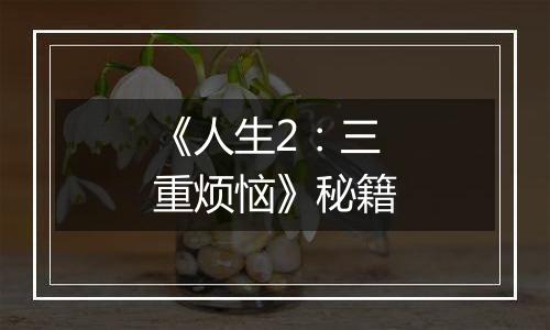 《人生2：三重烦恼》秘籍