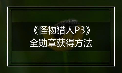 《怪物猎人P3》全勋章获得方法