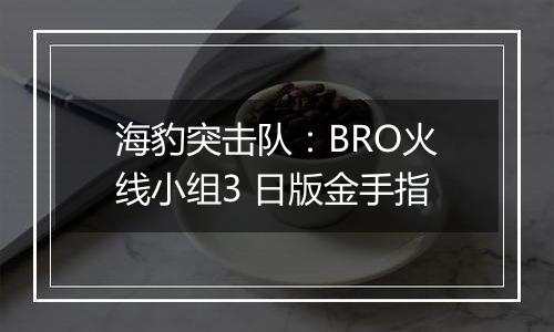 海豹突击队：BRO火线小组3 日版金手指