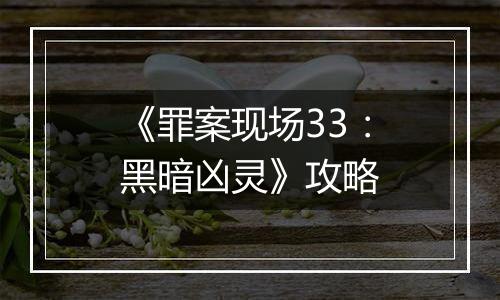 《罪案现场33：黑暗凶灵》攻略