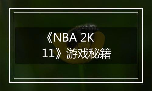 《NBA 2K11》游戏秘籍