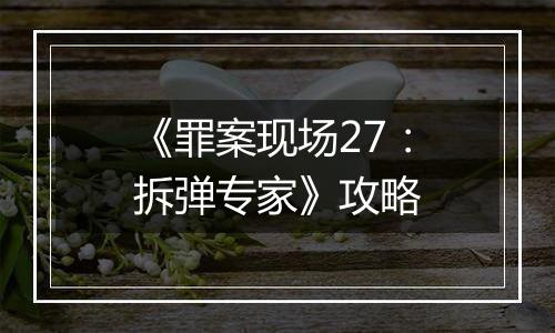 《罪案现场27：拆弹专家》攻略