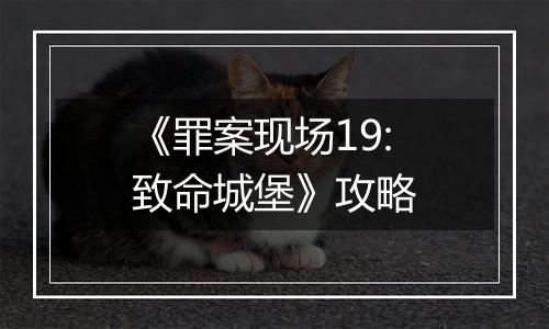 《罪案现场19:致命城堡》攻略