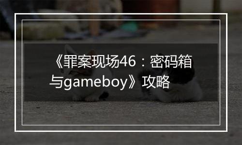 《罪案现场46：密码箱与gameboy》攻略