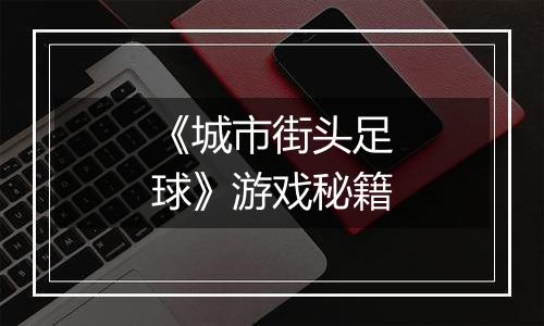 《城市街头足球》游戏秘籍