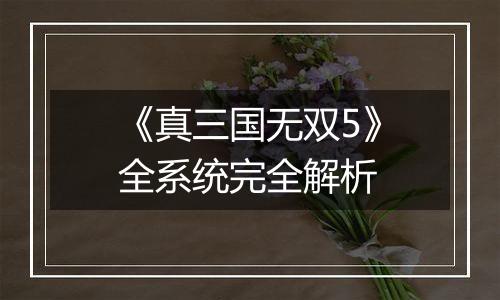 《真三国无双5》全系统完全解析