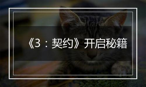 《3：契约》开启秘籍