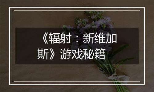 《辐射：新维加斯》游戏秘籍