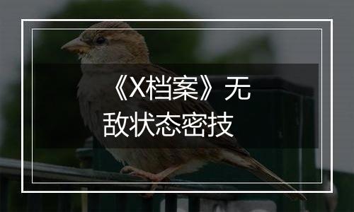 《X档案》无敌状态密技