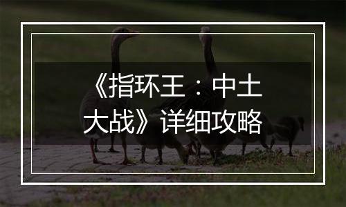 《指环王：中土大战》详细攻略