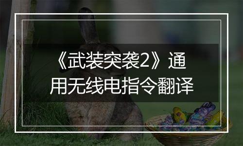 《武装突袭2》通用无线电指令翻译