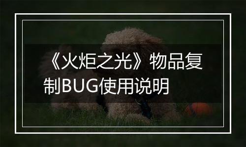 《火炬之光》物品复制BUG使用说明