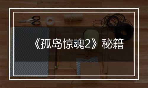 《孤岛惊魂2》秘籍