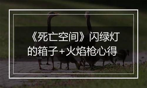 《死亡空间》闪绿灯的箱子+火焰枪心得