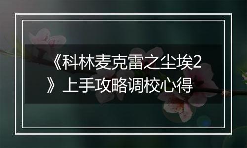 《科林麦克雷之尘埃2》上手攻略调校心得