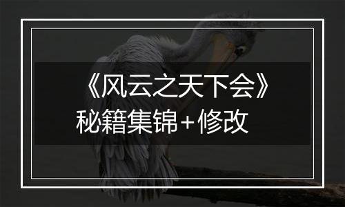 《风云之天下会》秘籍集锦+修改