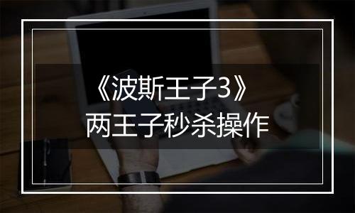 《波斯王子3》两王子秒杀操作