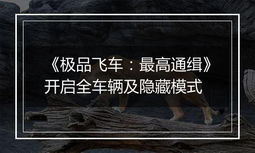 《极品飞车：最高通缉》开启全车辆及隐藏模式