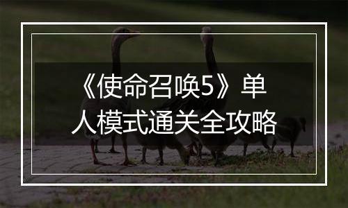 《使命召唤5》单人模式通关全攻略