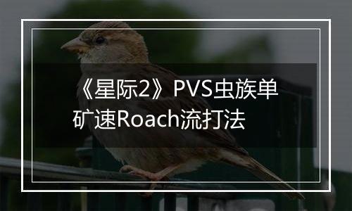 《星际2》PVS虫族单矿速Roach流打法