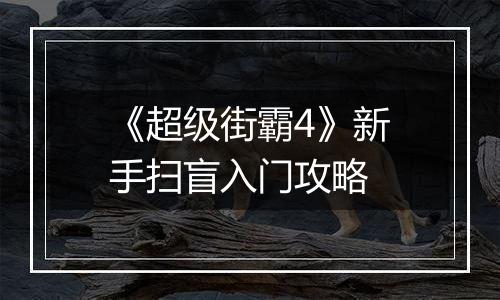 《超级街霸4》新手扫盲入门攻略