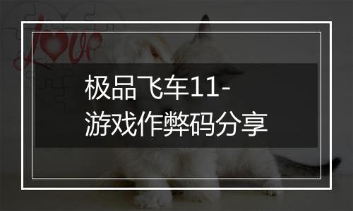 极品飞车11-游戏作弊码分享