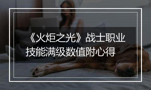 《火炬之光》战士职业技能满级数值附心得