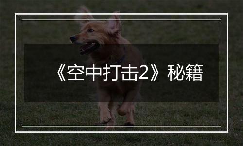 《空中打击2》秘籍