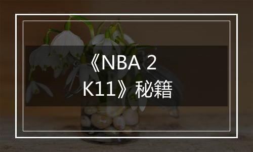 《NBA 2K11》秘籍