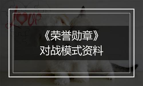 《荣誉勋章》对战模式资料