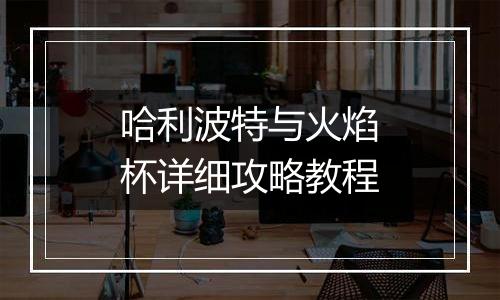 哈利波特与火焰杯详细攻略教程