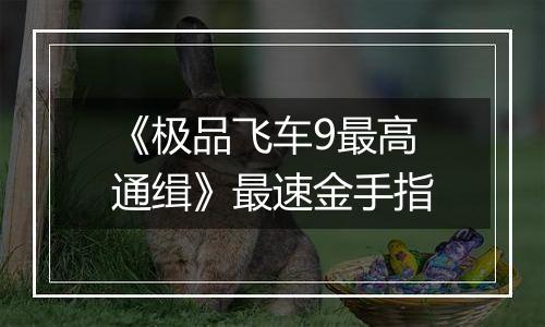 《极品飞车9最高通缉》最速金手指