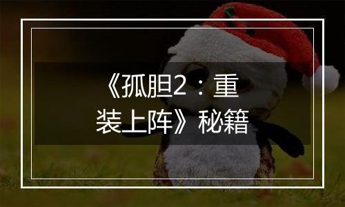 《孤胆2：重装上阵》秘籍