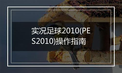 实况足球2010(PES2010)操作指南