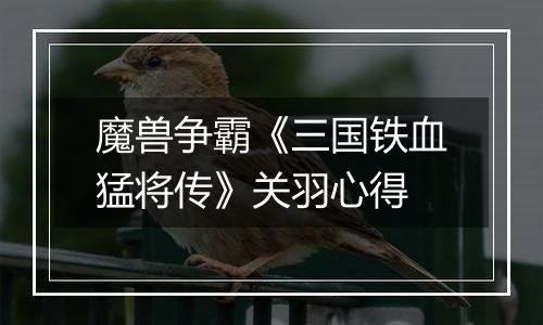 魔兽争霸《三国铁血猛将传》关羽心得