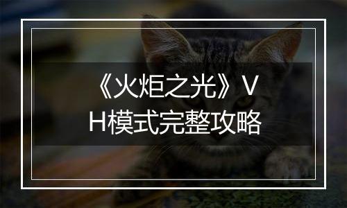 《火炬之光》VH模式完整攻略