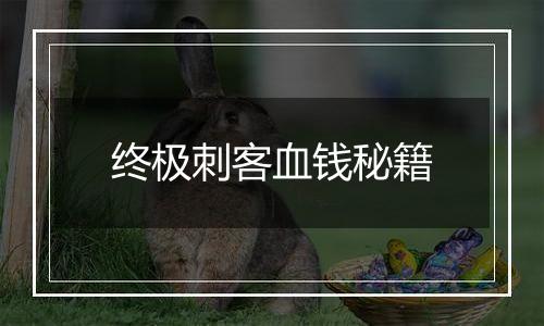 终极刺客血钱秘籍