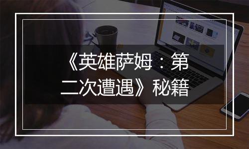 《英雄萨姆：第二次遭遇》秘籍