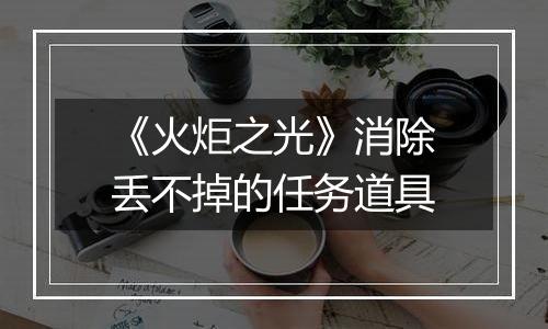 《火炬之光》消除丢不掉的任务道具