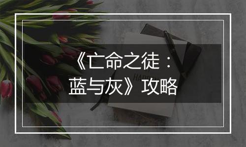 《亡命之徒：蓝与灰》攻略