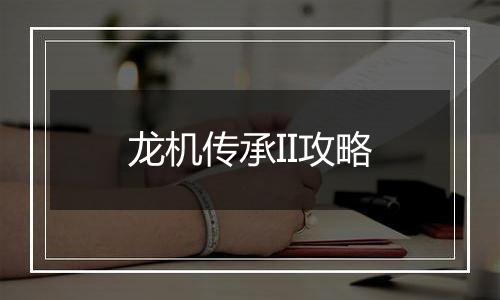 龙机传承II攻略